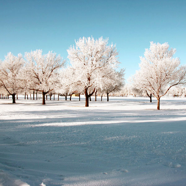 Weyburn